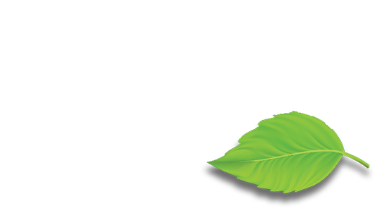 Logo Vegano